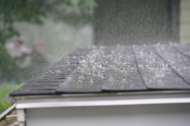 Best Roof Leak Repair  in Santee, CA